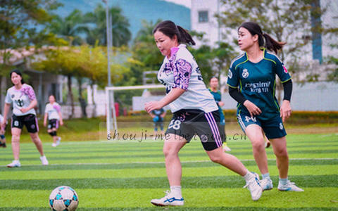 柱状图展示12款MELBET面板性能对比结果
