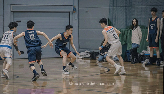 内地当季面板适配覆盖率折线图，显示上升趋势